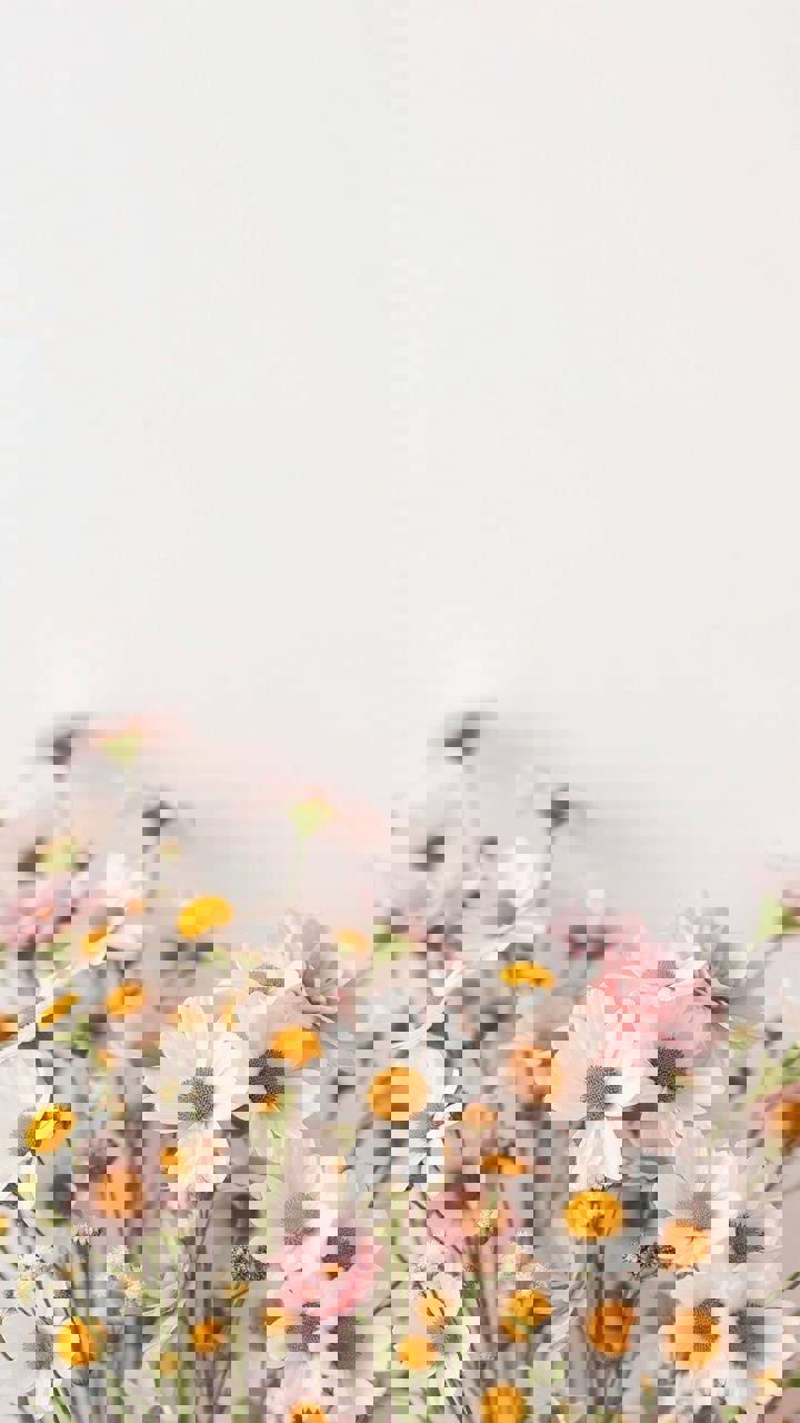 Сертифікат 1 Алла Ст...