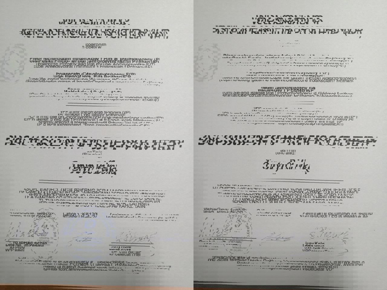 Сертификат 4 Дмитрий Пт...