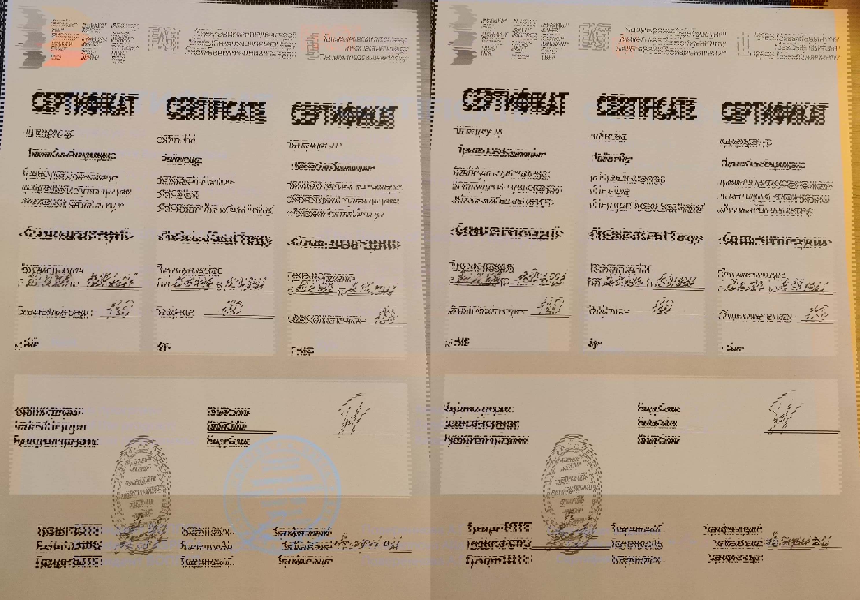 Сертификат 2 Ольга Пр...