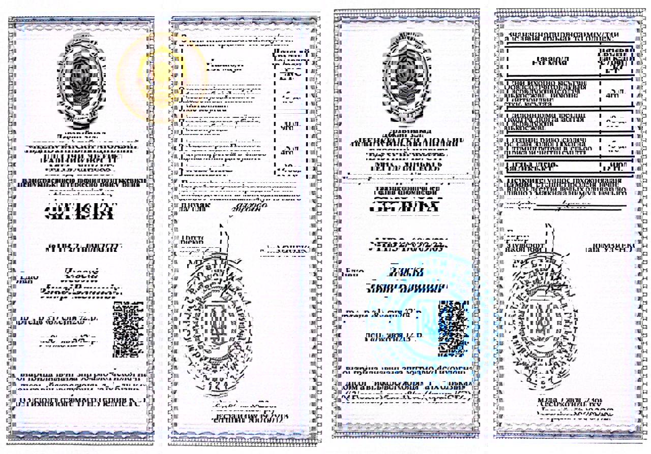 Сертифікат 2 Вікторія Лі...