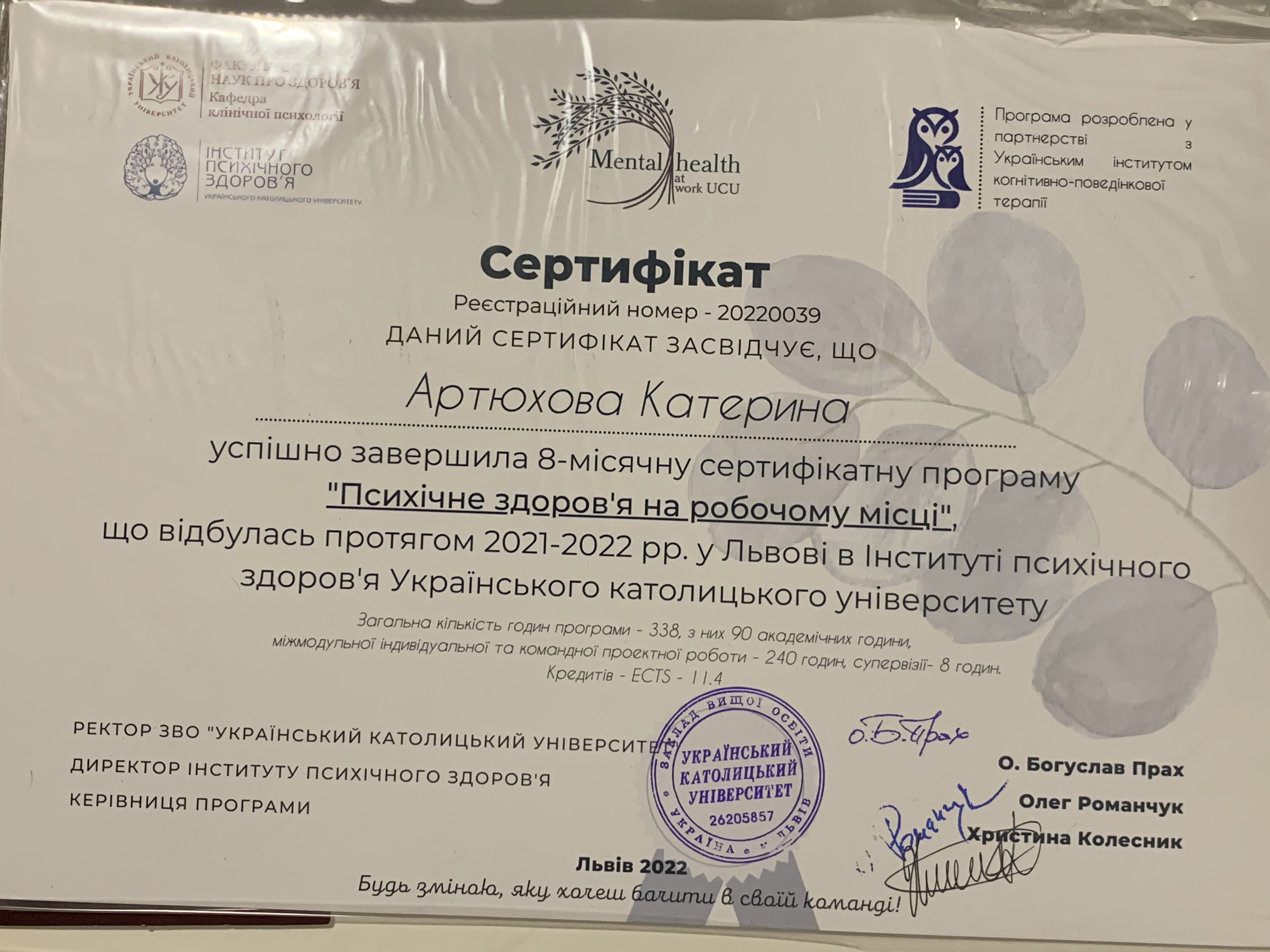 Сертификат 1 Екатерина Ар...