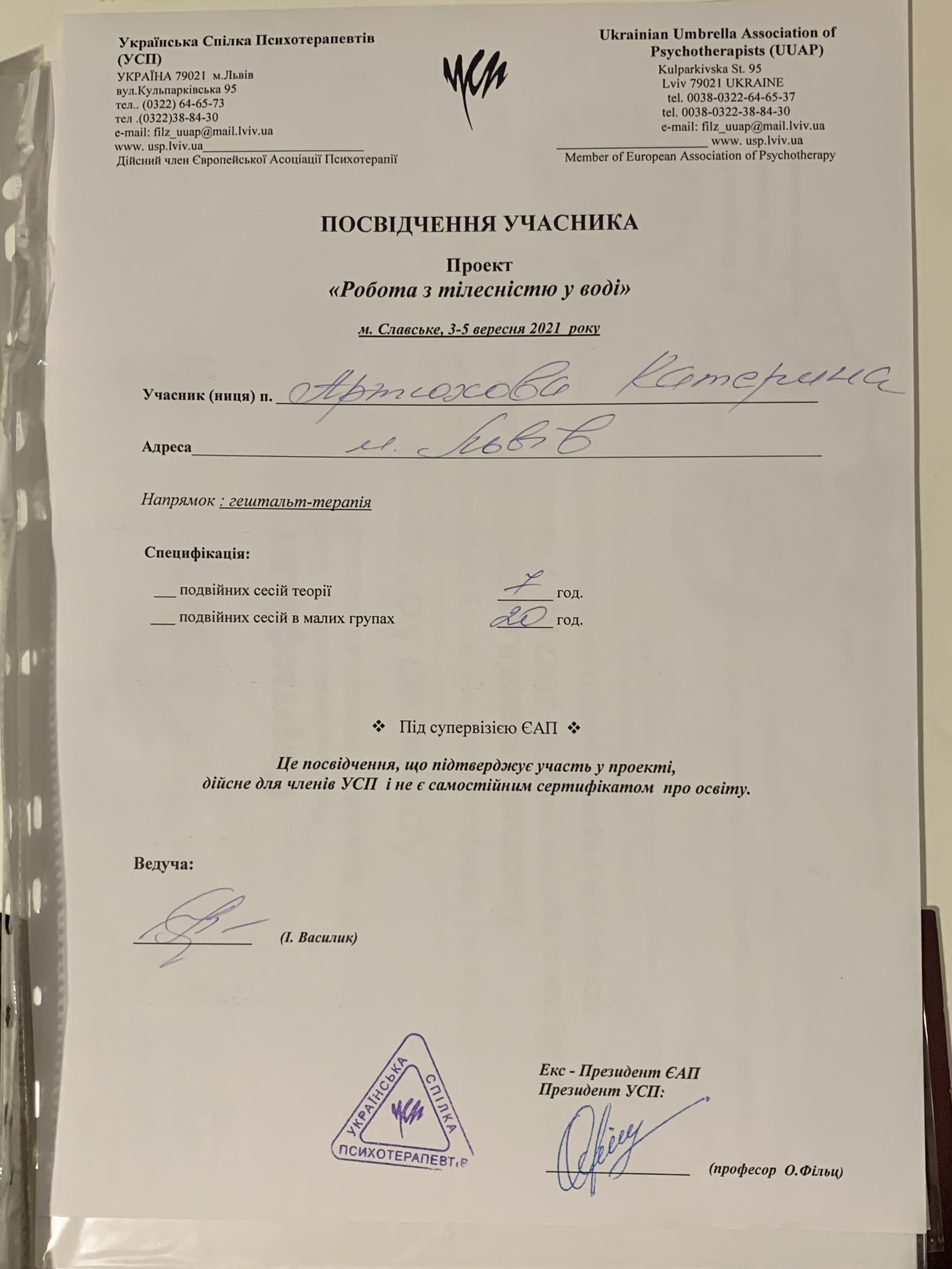 Сертификат 2 Екатерина Ар...