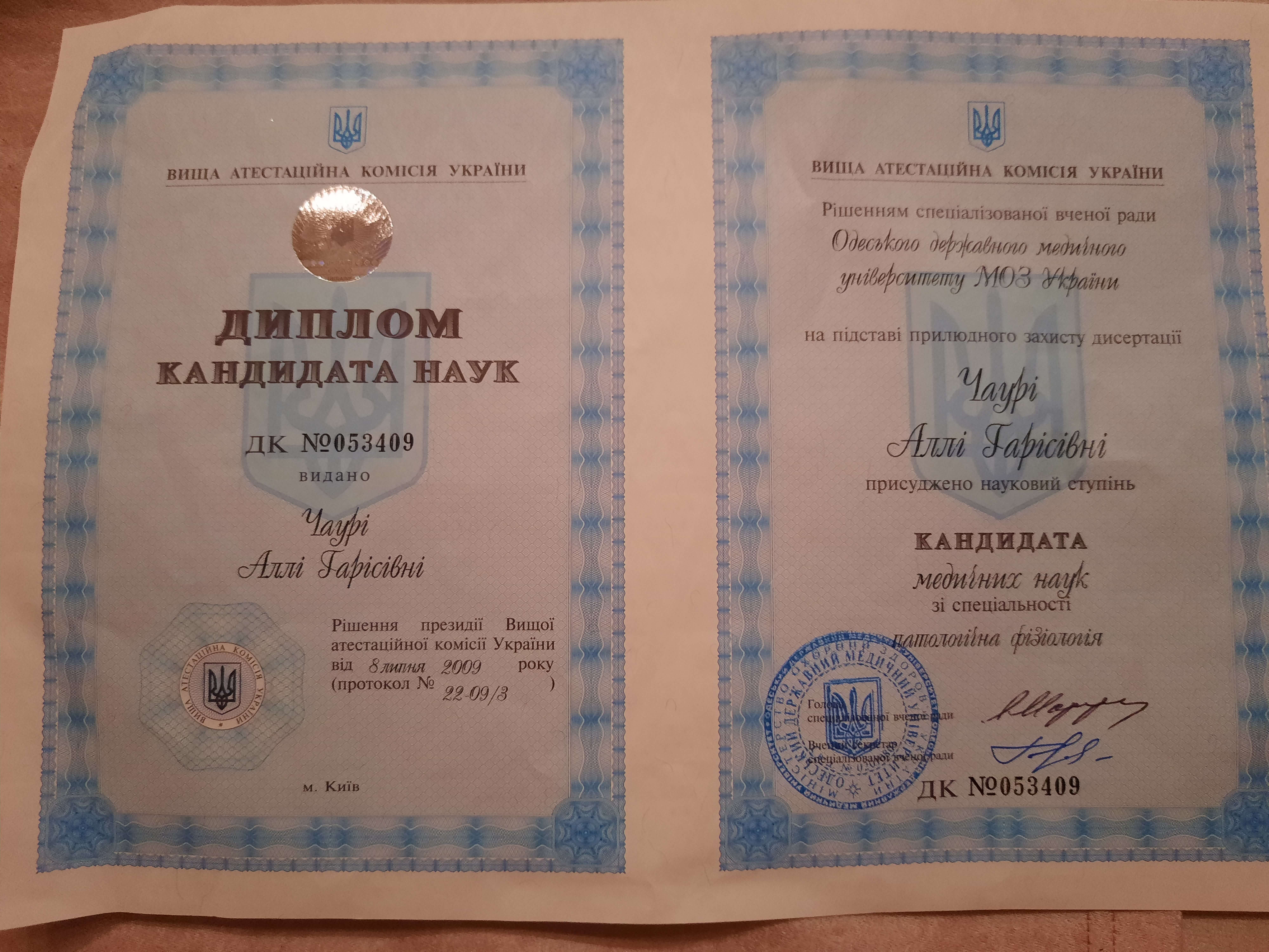 Сертификат 1 Алла Ча...