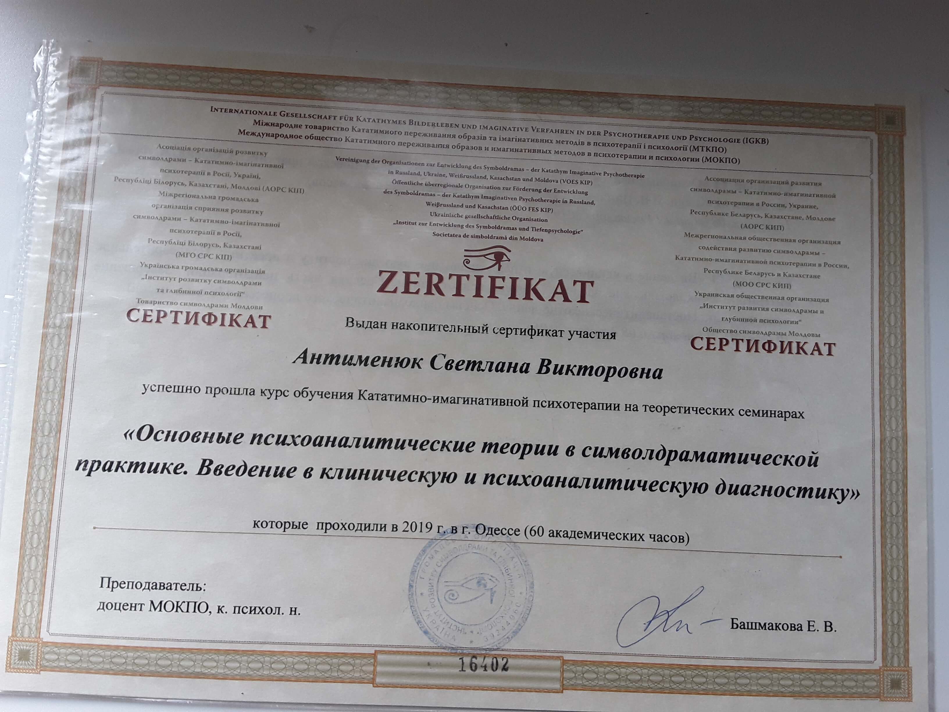 Сертификат 5 Светлана Ви...