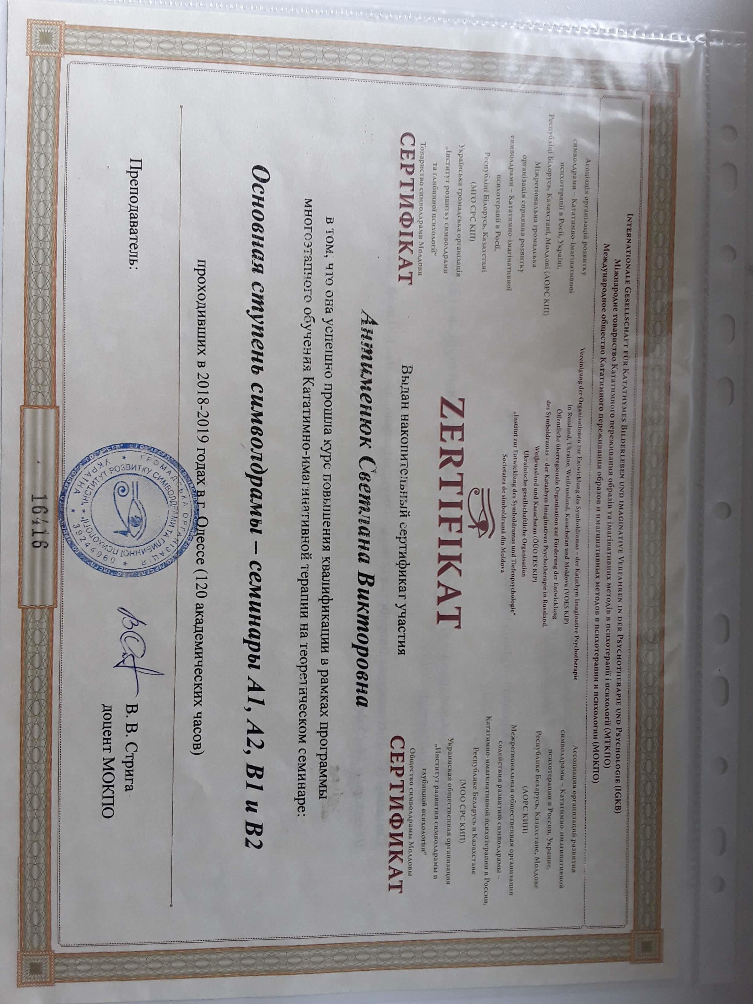 Сертификат 3 Светлана Ви...