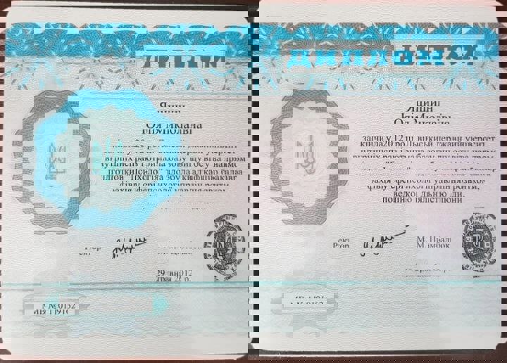 Сертификат 1 Юлия  Лу...