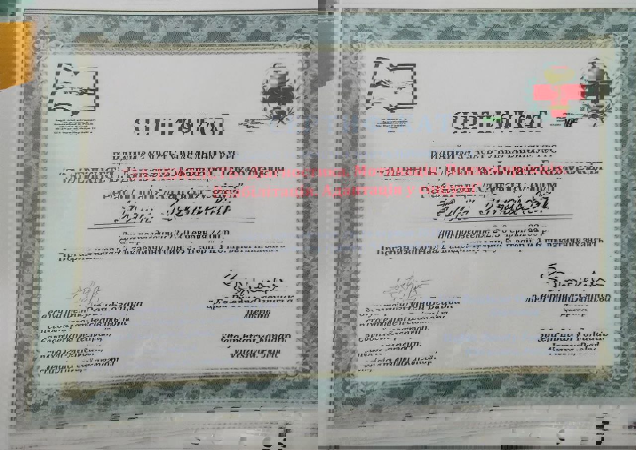 Сертификат 5 Юлия  Лу...
