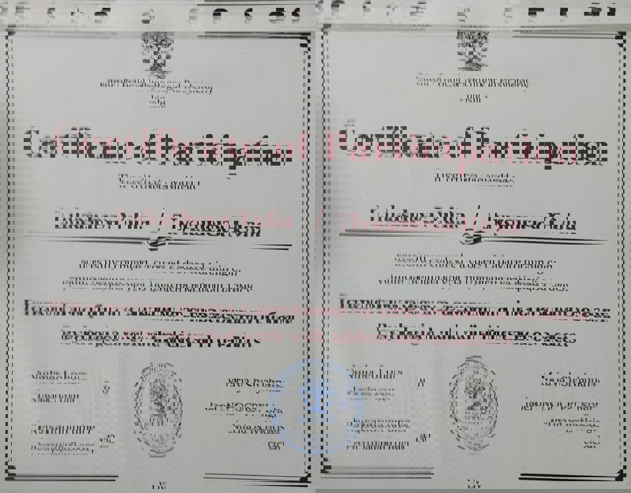 Сертификат 2 Юлия  Лу...