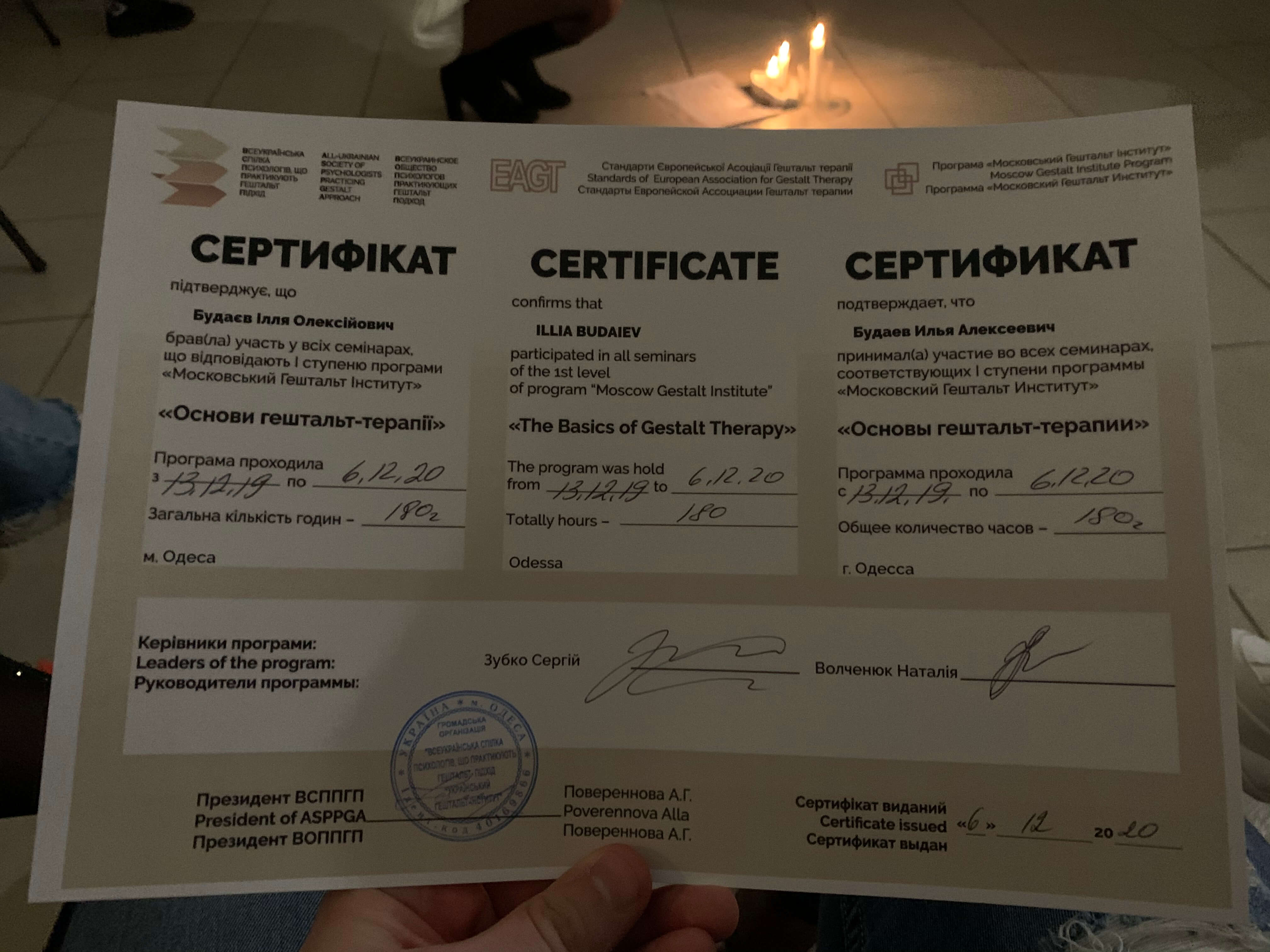 Сертификат 1 Daria Lu...