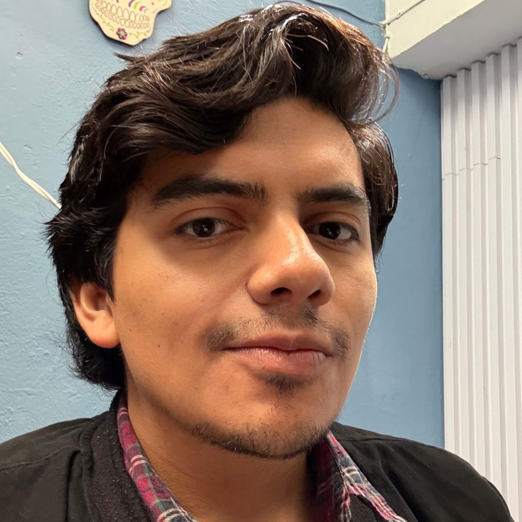 Luis Vicente Michel Muciño Pérez