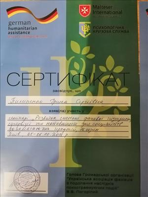 Сертификат 2 Ирина Пи...