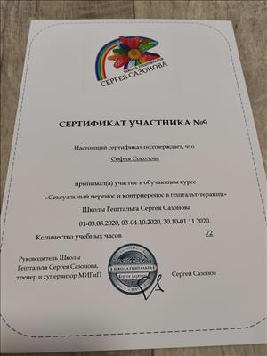 Сертифікат 3 Софія Со...