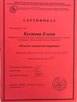 Сертификат 1 Лена Пу...