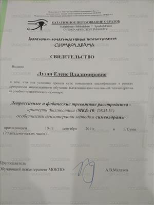 Сертифікат 3 Олена Лу...