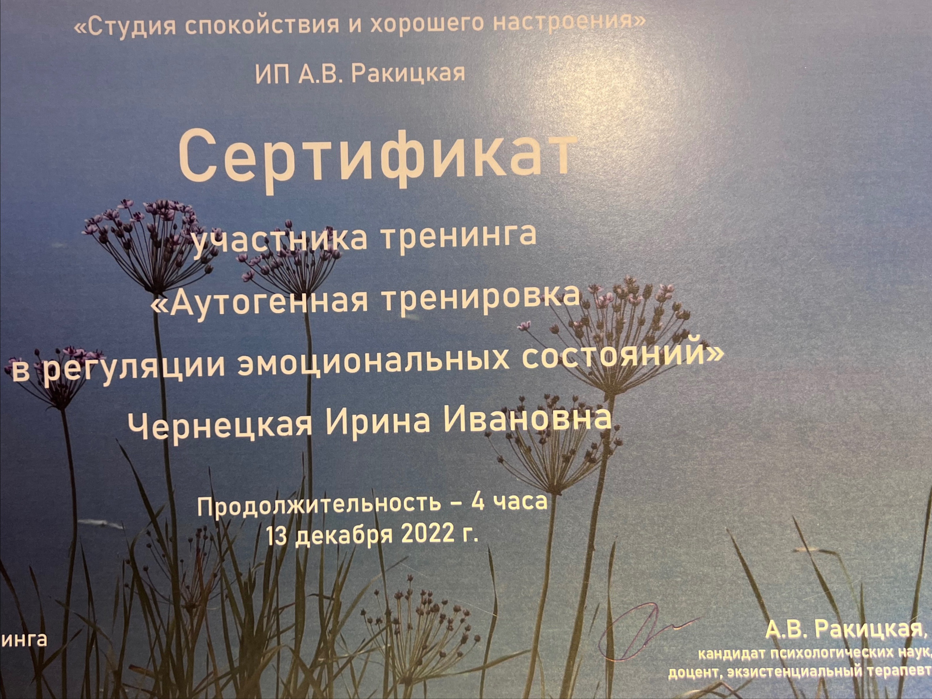 Сертифікат 5 Ирина Че...