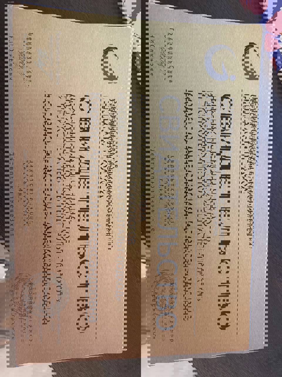 Сертифікат 4 Анастасія  Ко...