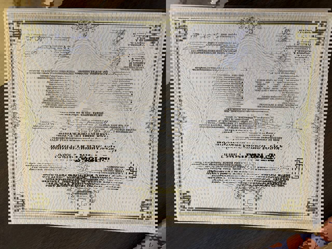 Сертифікат 2 Анастасія  Ко...