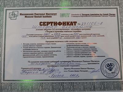 Сертифікат 2 Катерина Шт...