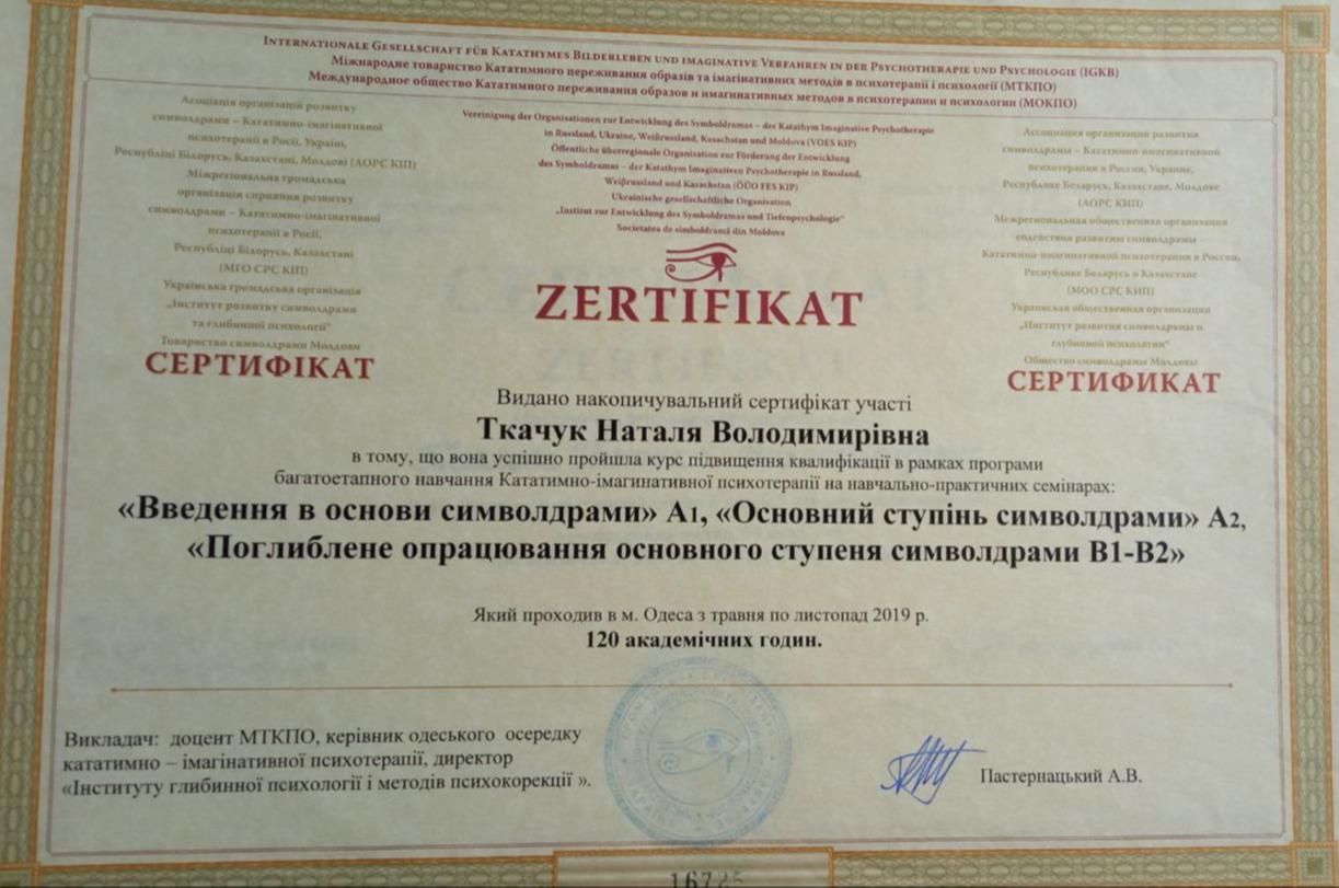 Сертификат 2 Наталья  Па...