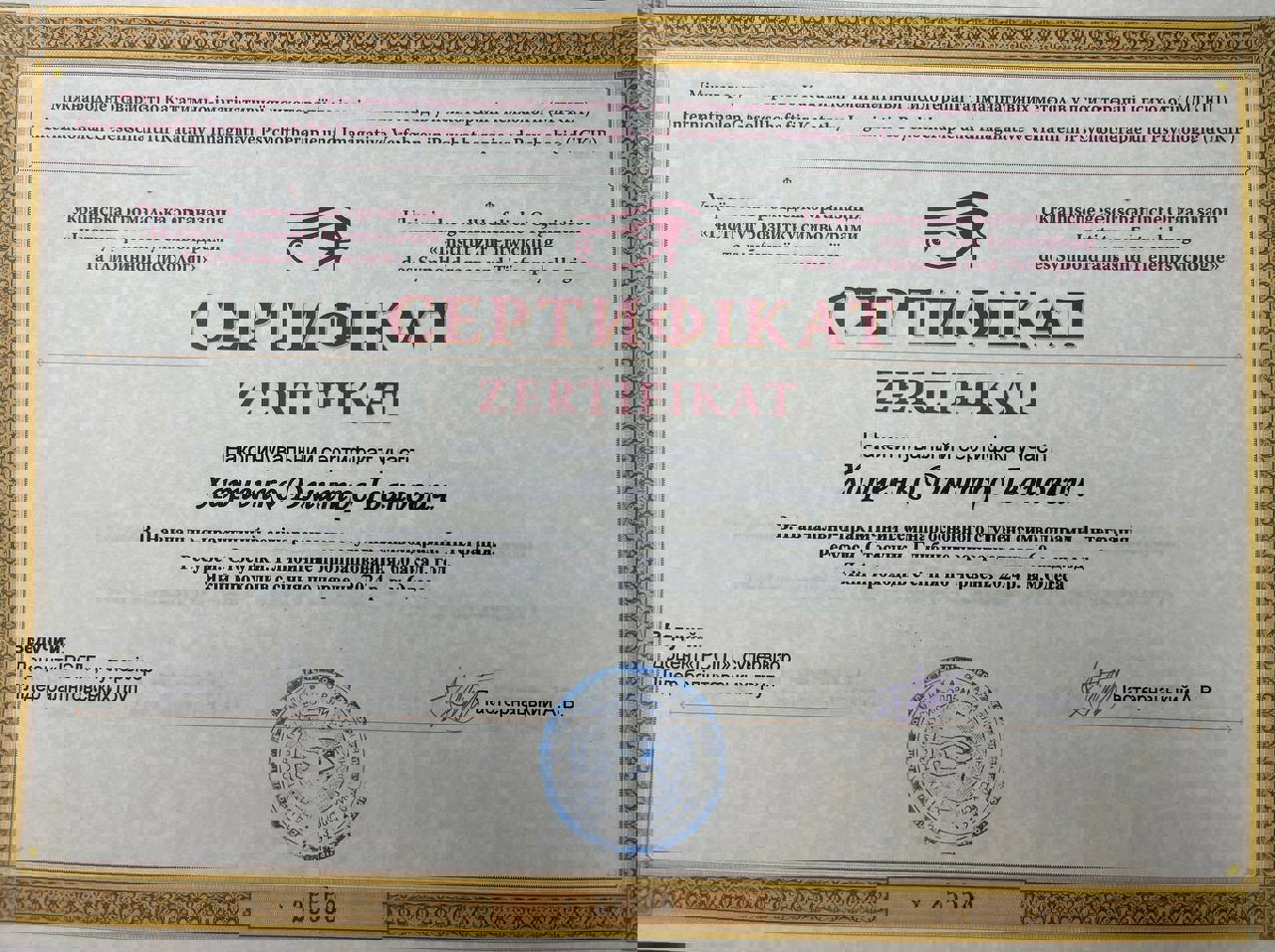 Сертификат 2 Дмитрий  Ха...