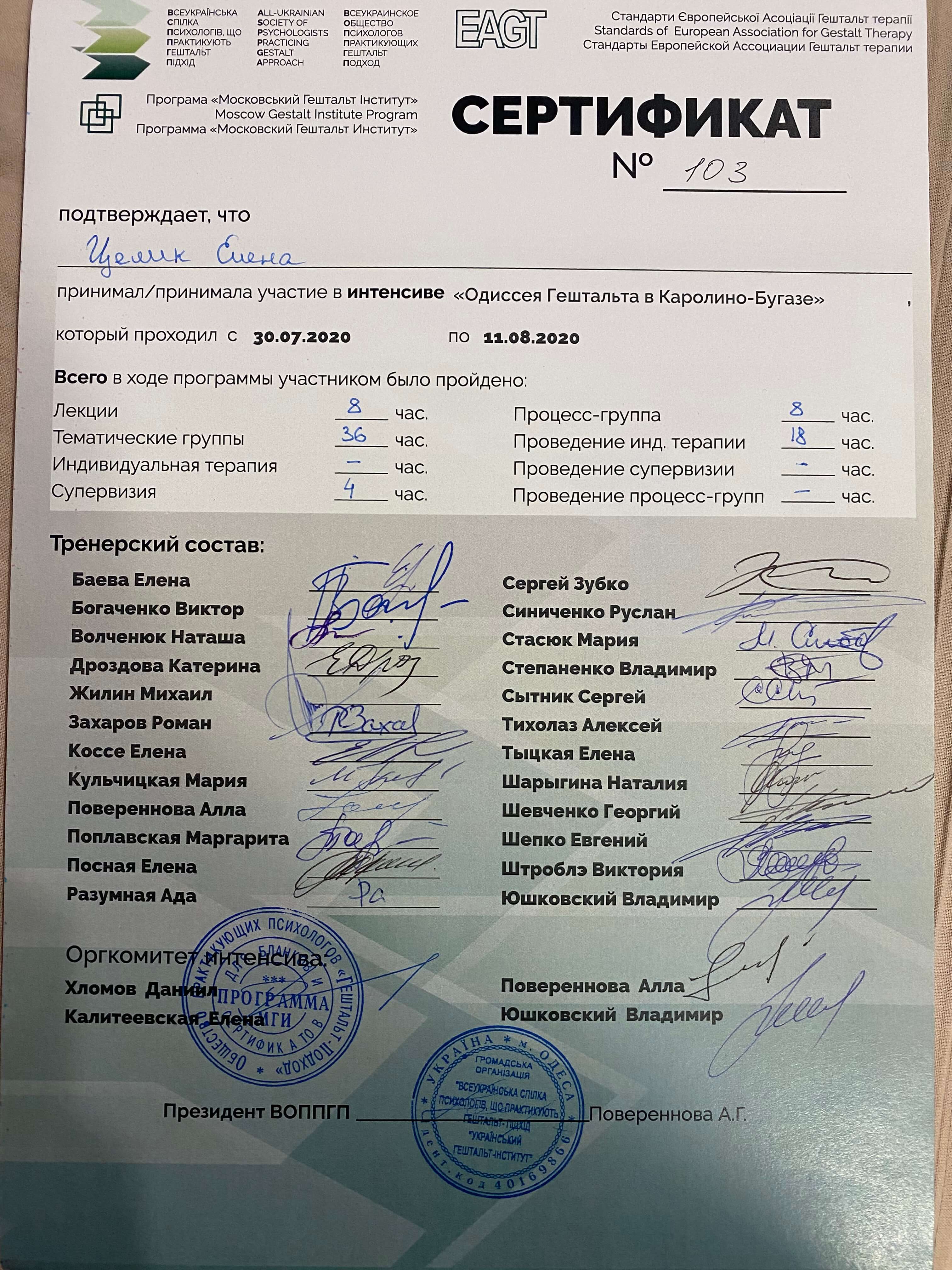 Сертификат 3 Елена Це...