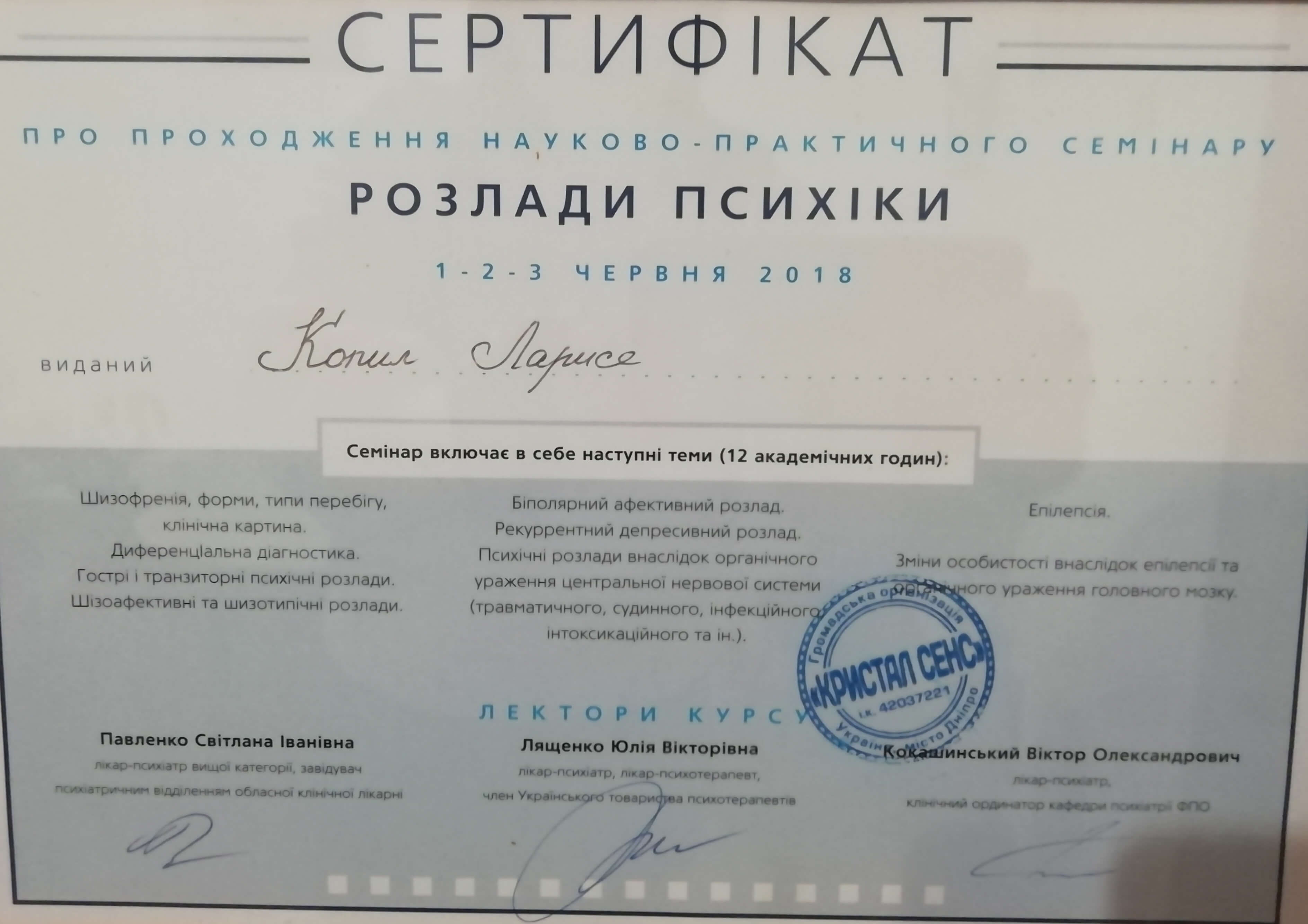 Сертификат 5 Лариса Ко...