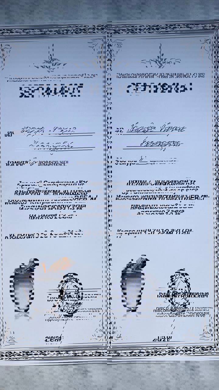 Сертификат 1 Марина Мо...