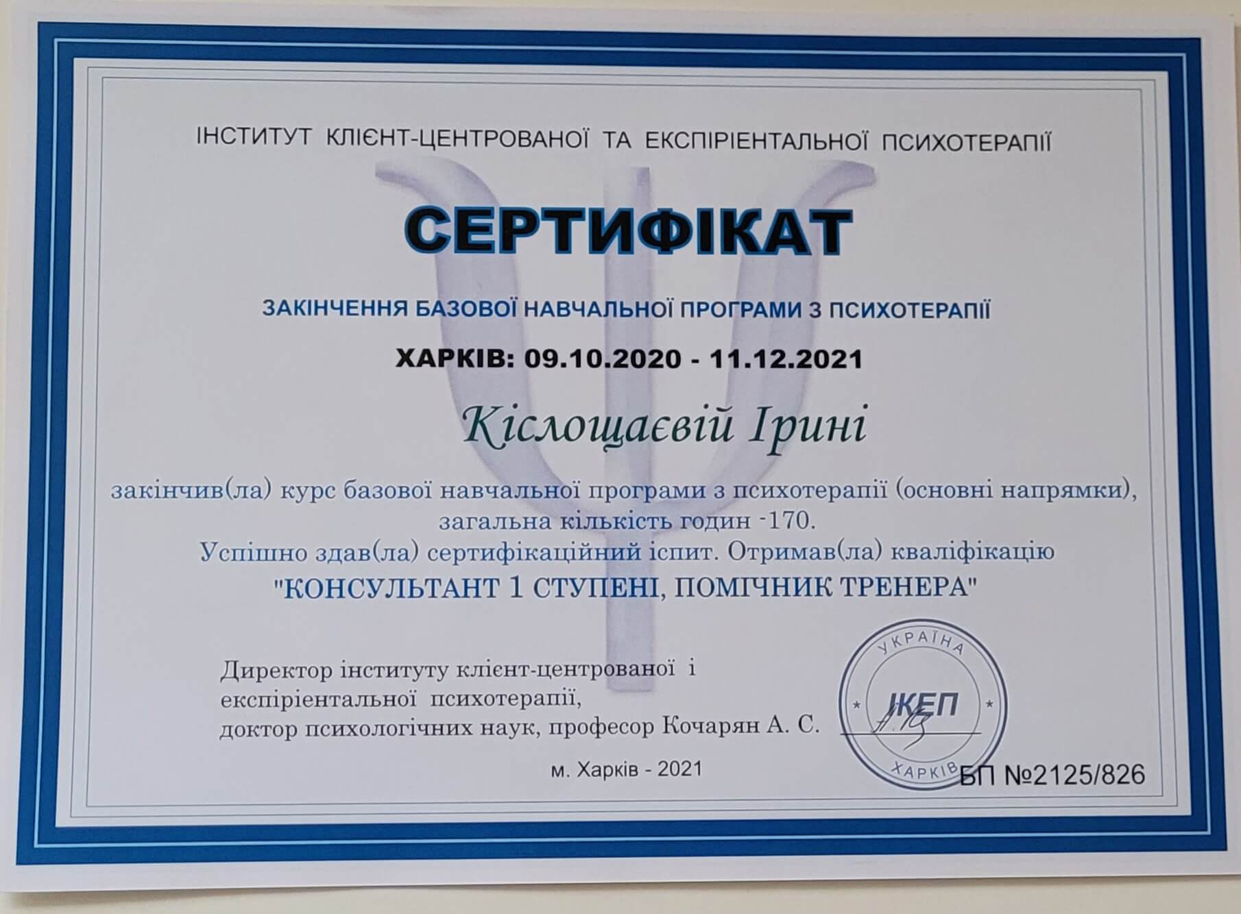 Сертификат 2 Ирина Кі...