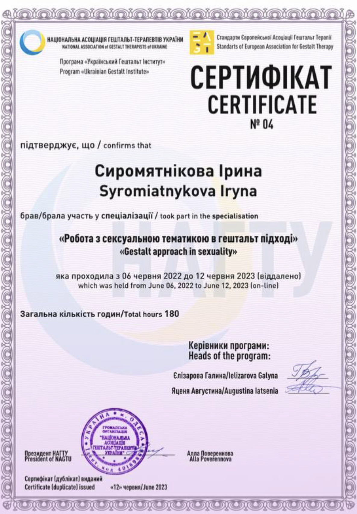 Сертификат 2 Ірина Си...