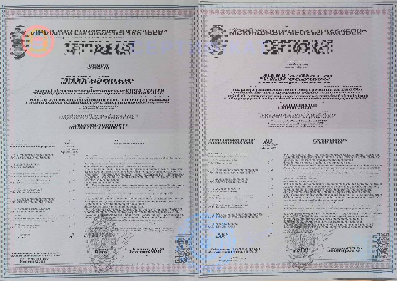 Сертификат 5 Сергей Ми...