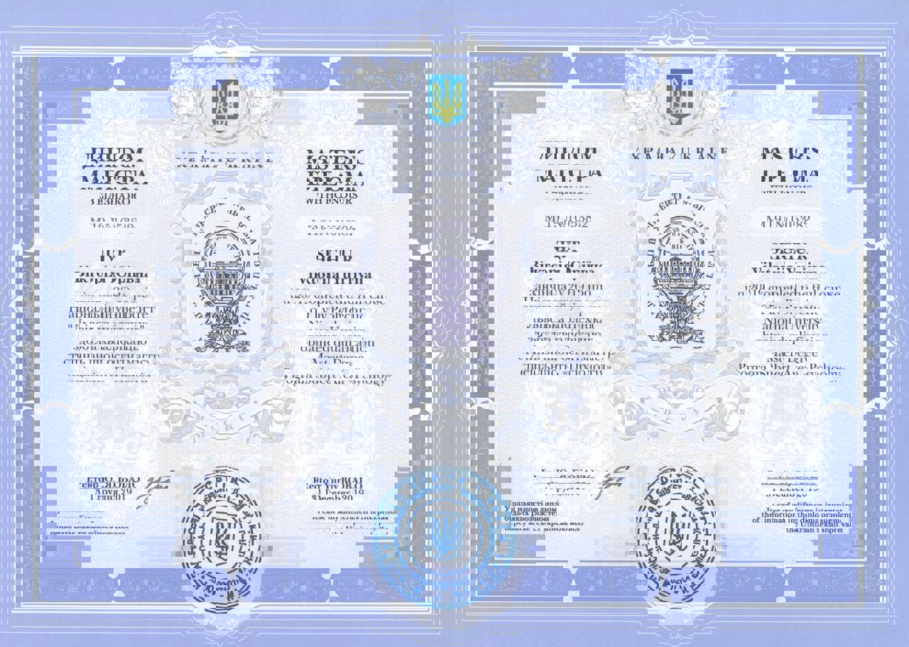 Сертификат 2 Виктория  Пи...