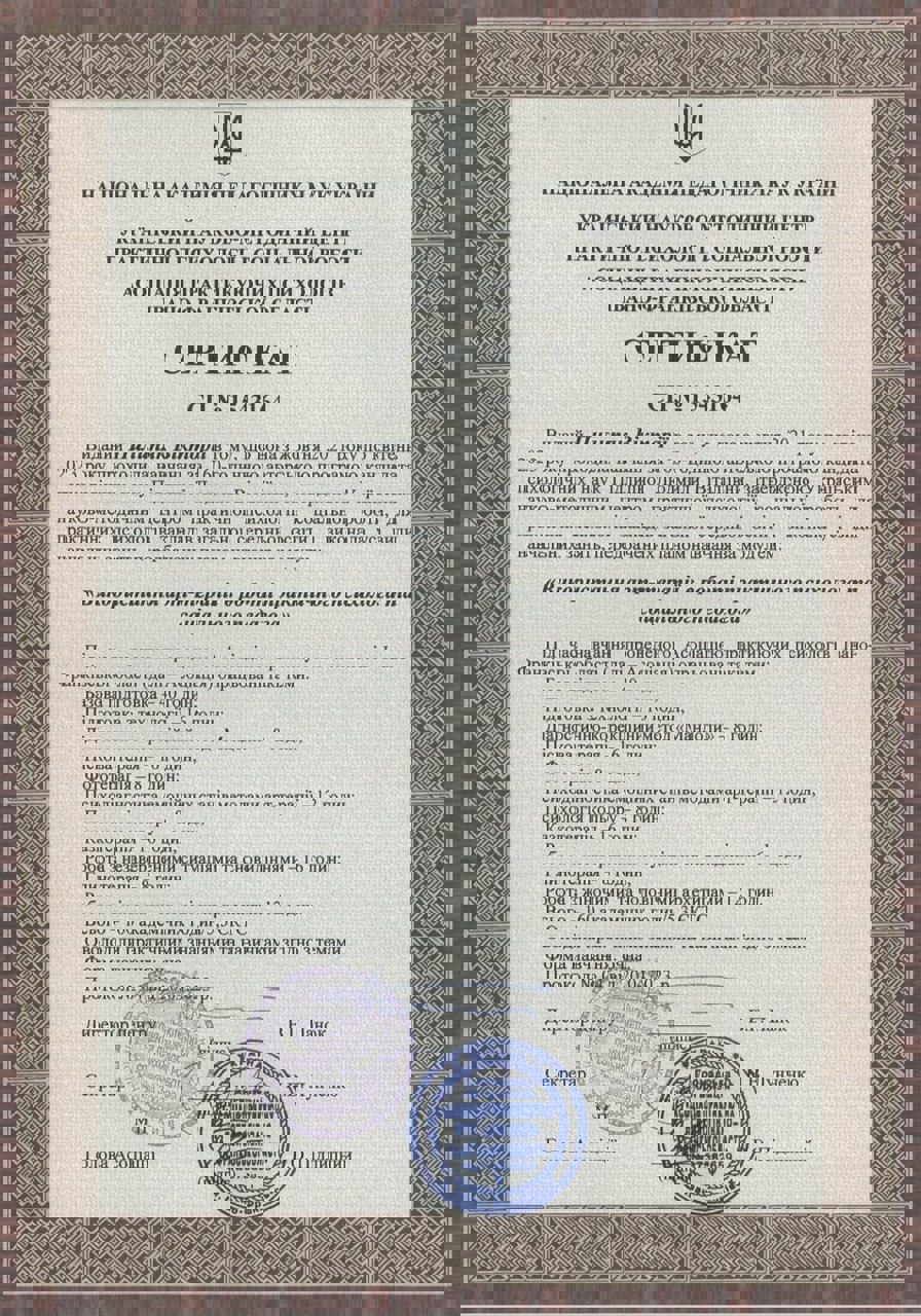 Сертификат 1 Виктория  Пи...