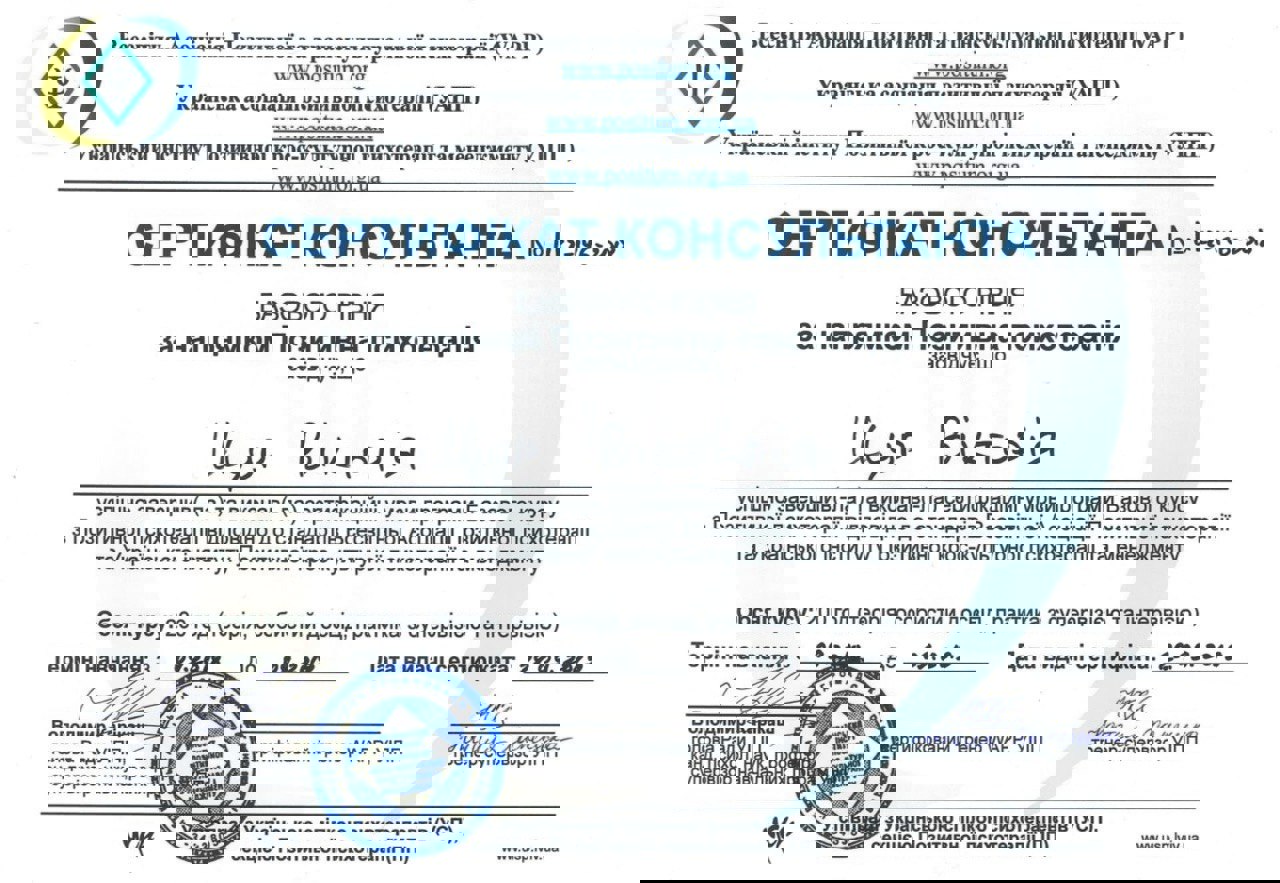 Сертификат 3 Виктория  Пи...