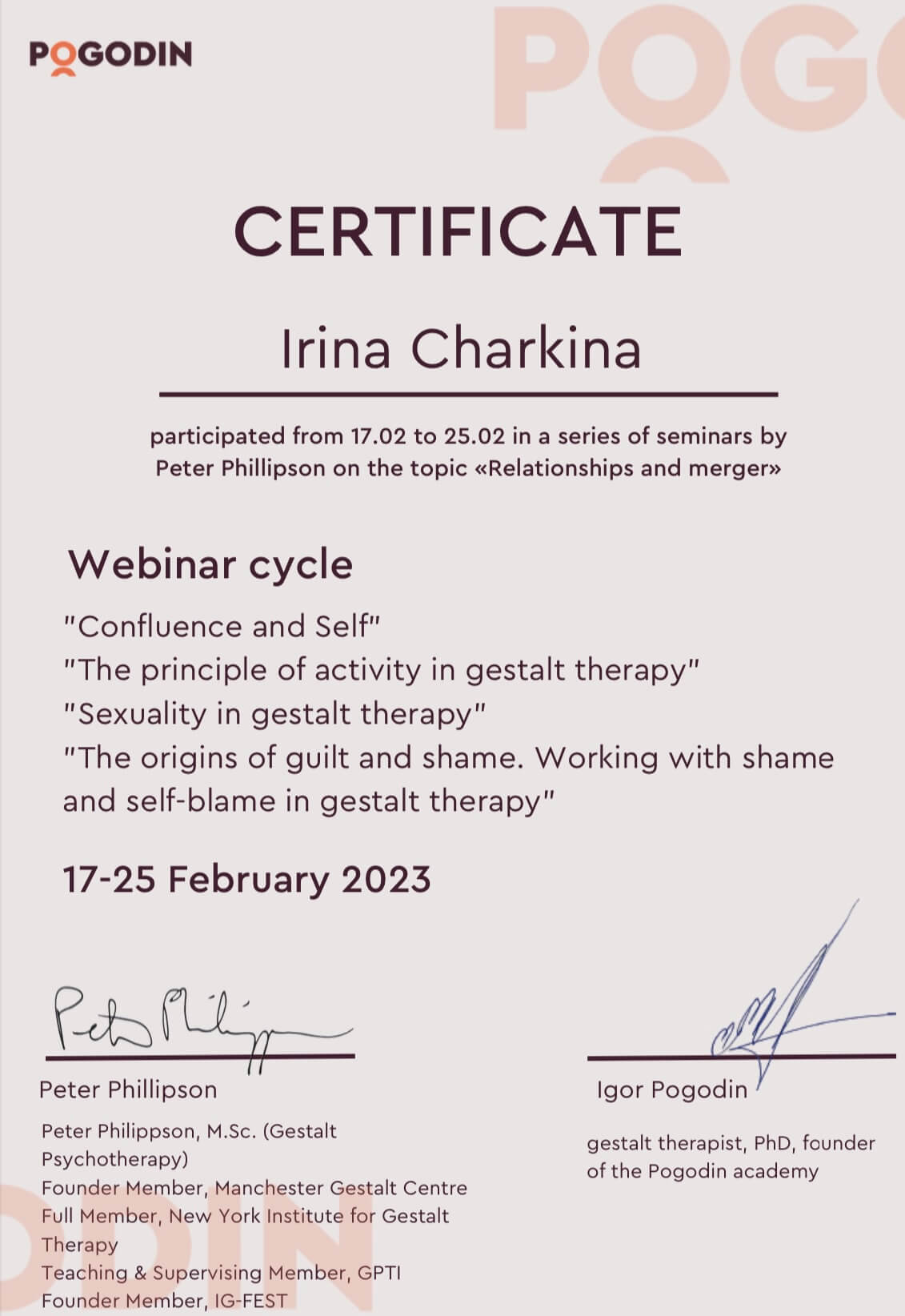 Сертификат 3 Ирина  Че...