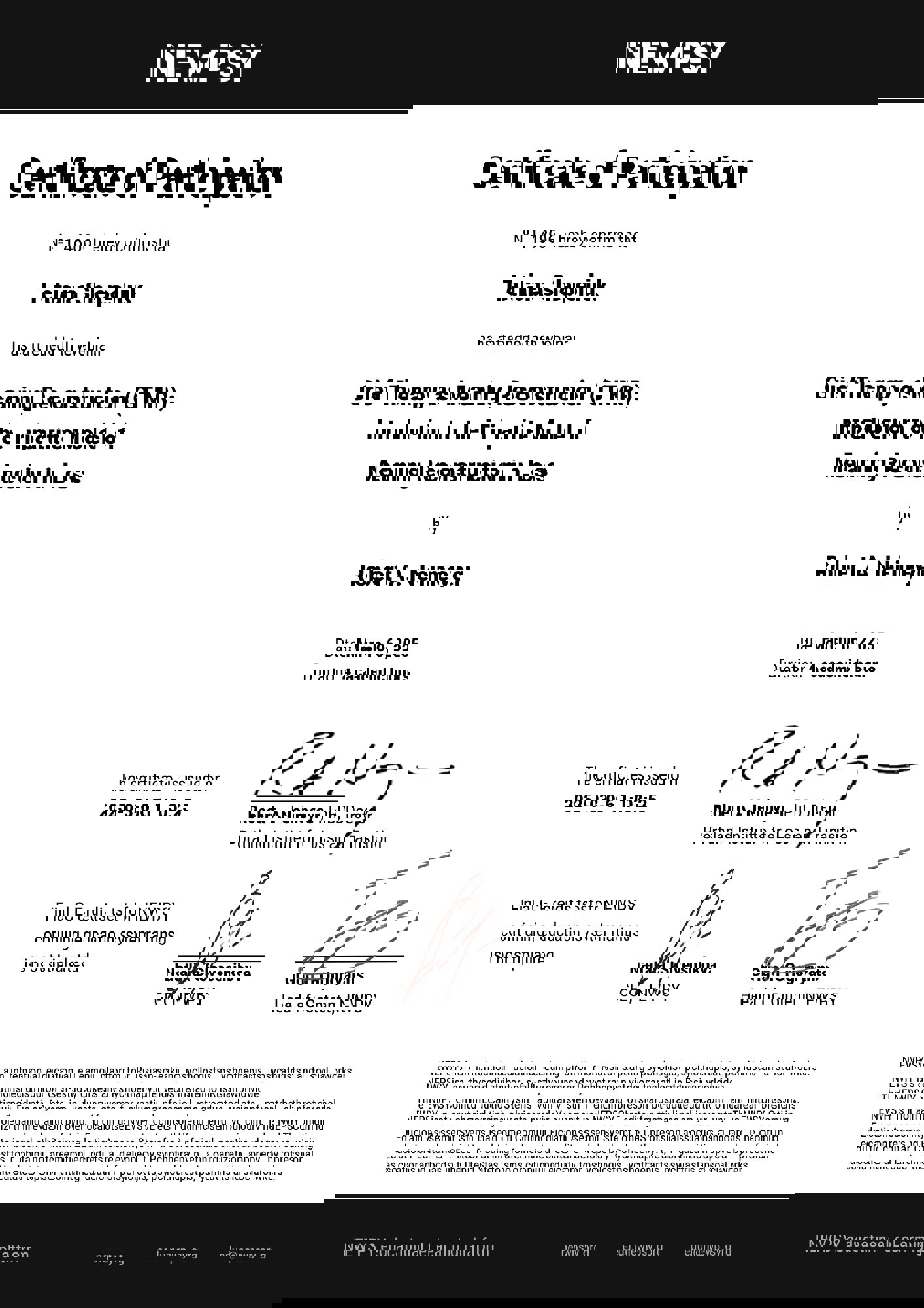 Сертифікат 5 Тетяна  Ше...