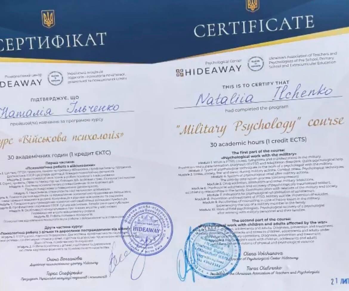 Сертификат 2 Наталья  Ил...