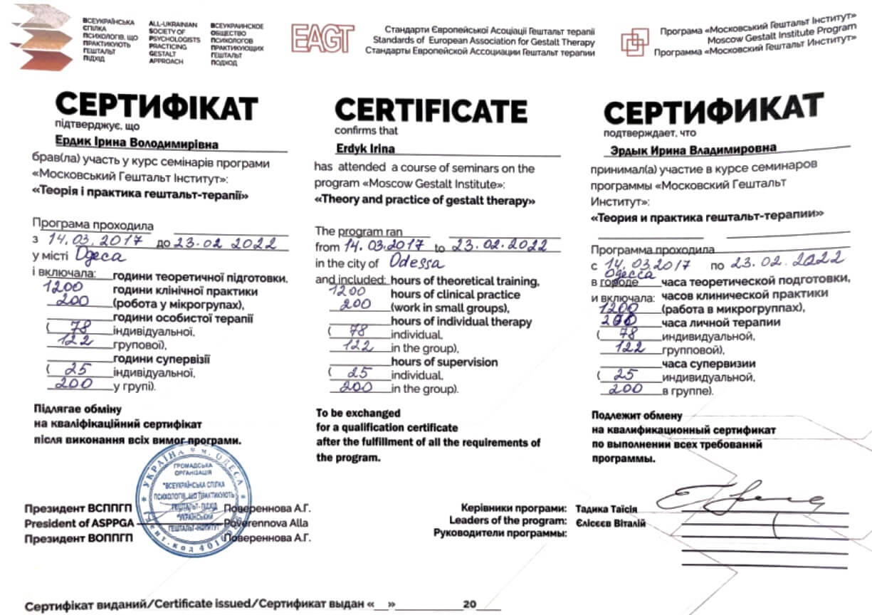 Сертификат 2 Ирина Эр...