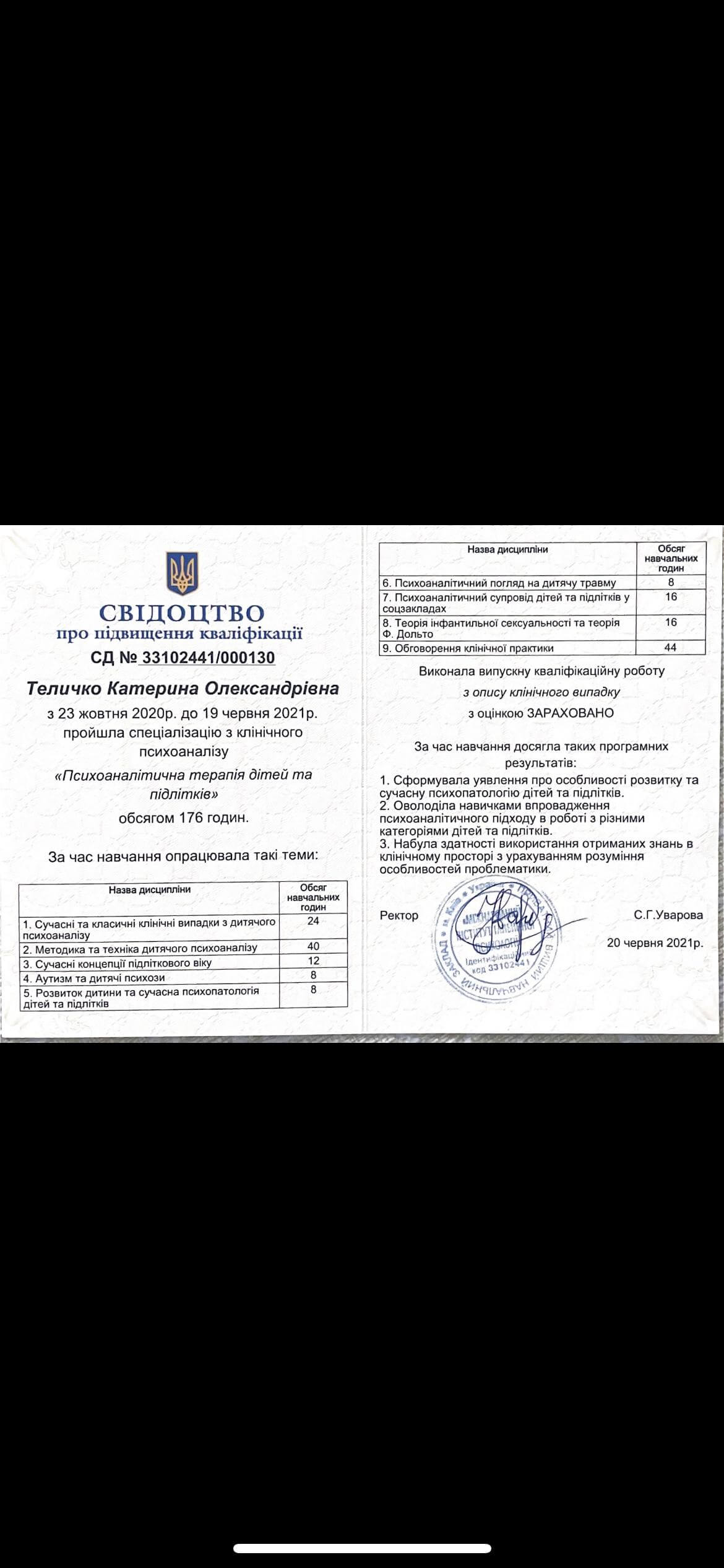Сертификат 2 Екатерина Те...
