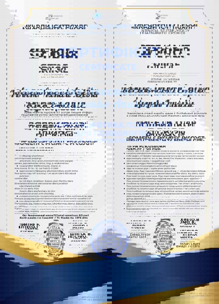 Сертифікат 5 Анастасія  Ло...