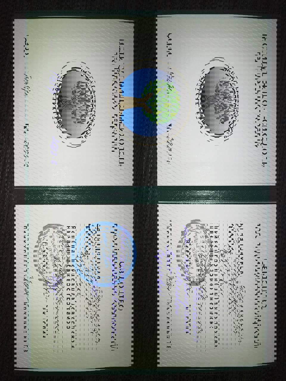 Сертифікат 2 Юлія Ма...