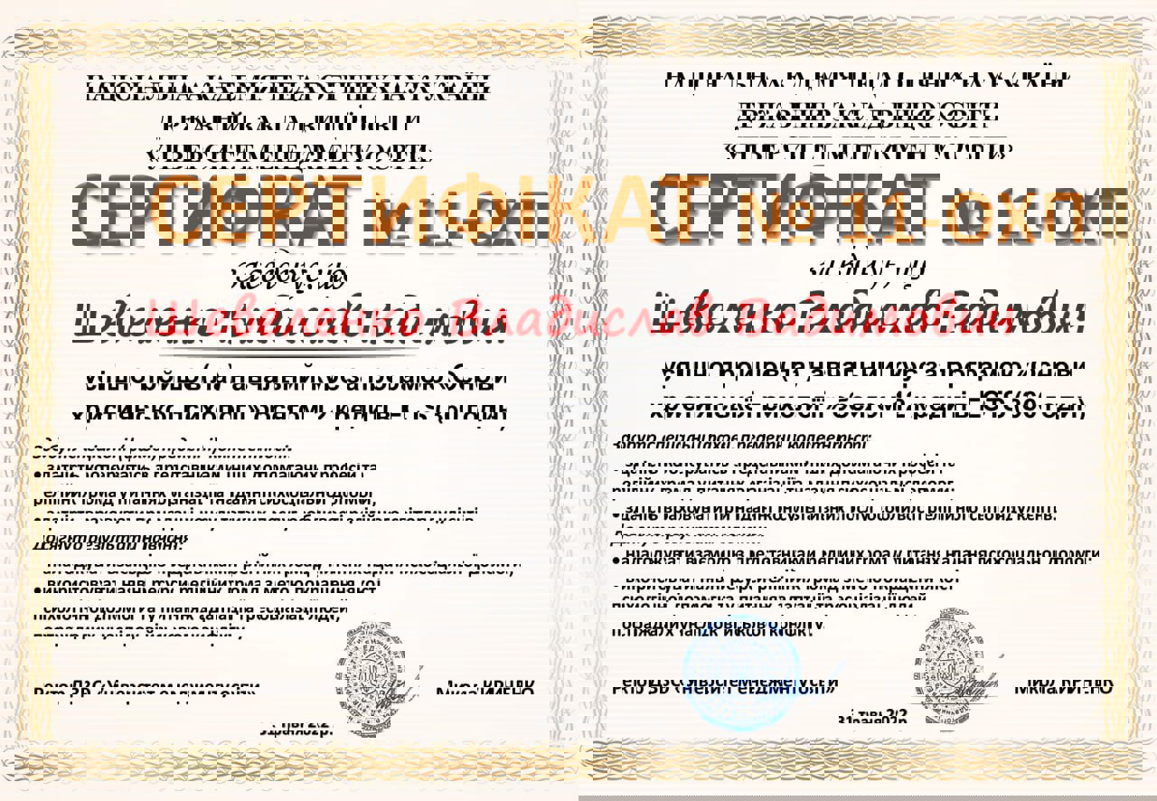 Сертифікат 2 Владислав Ше...