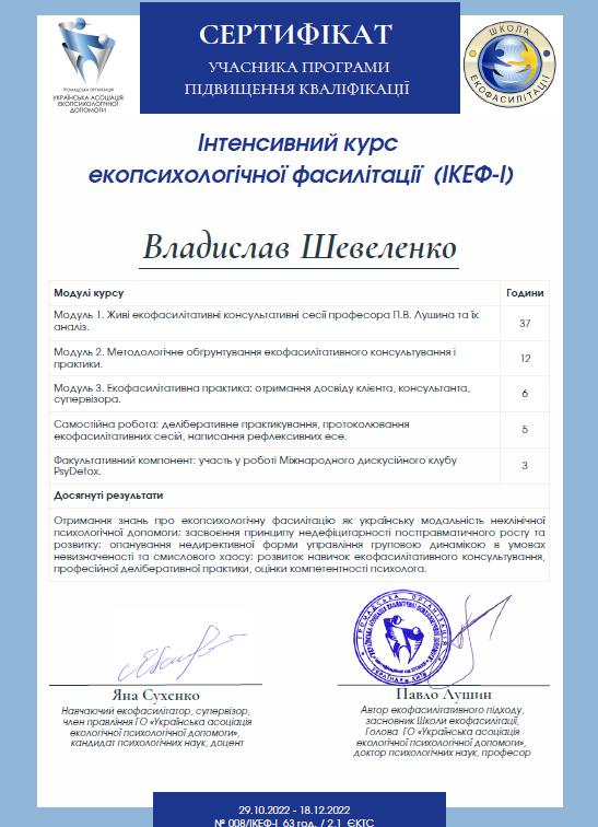 Сертифікат 5 Владислав Ше...