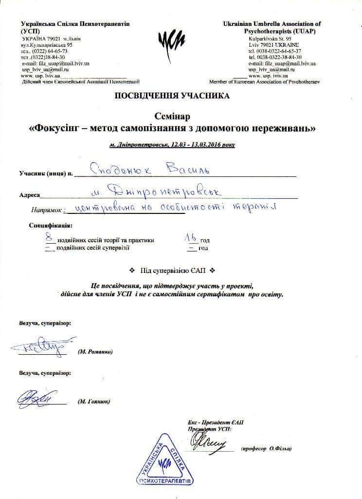 Сертифікат 2 Василь Сп...