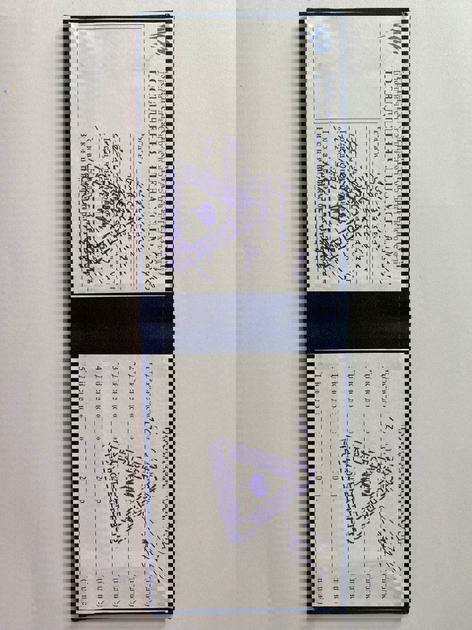 Сертифікат 5 Оксана  Лу...