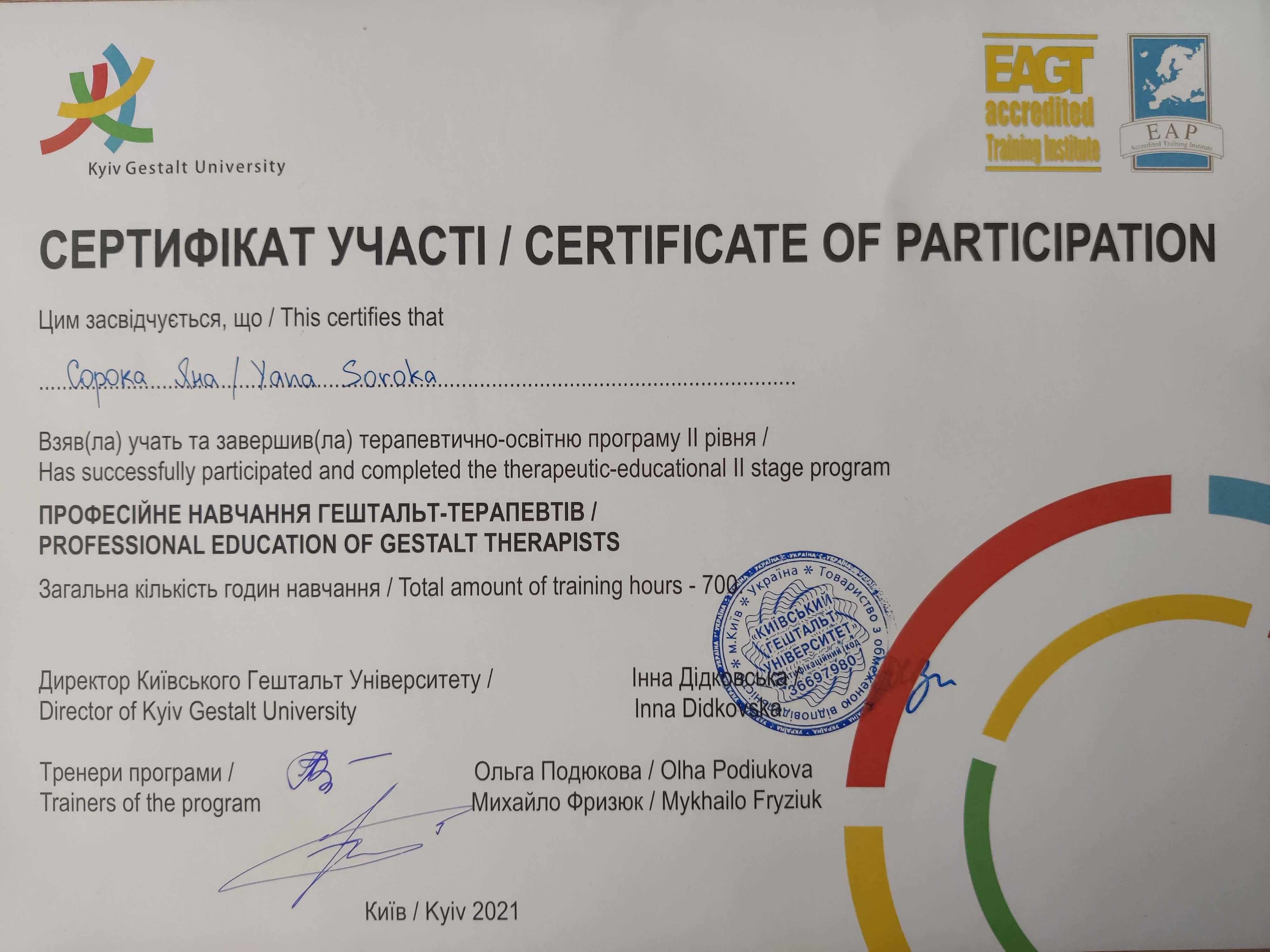 Сертификат 2 Яна  Со...