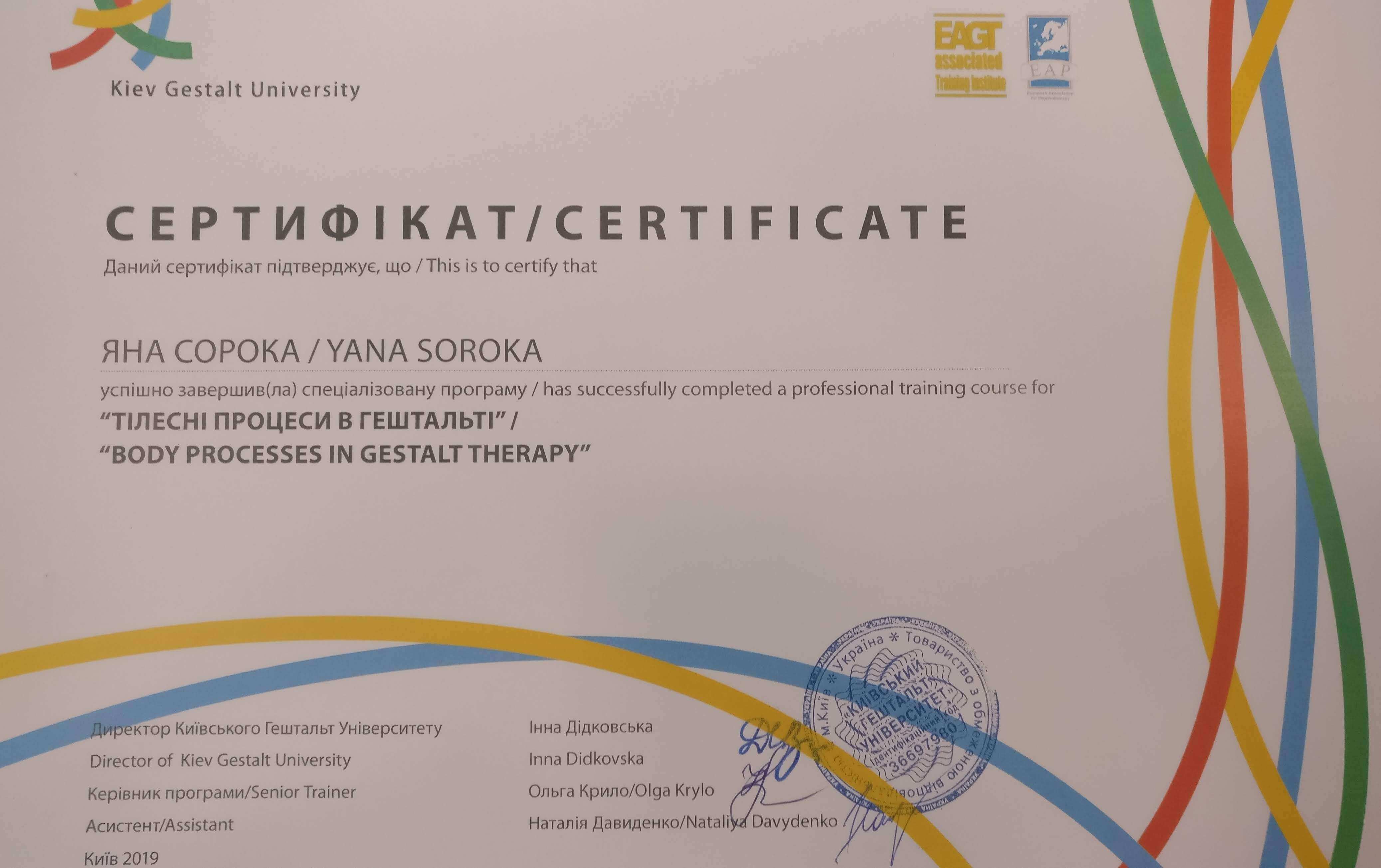 Сертификат 3 Яна  Со...