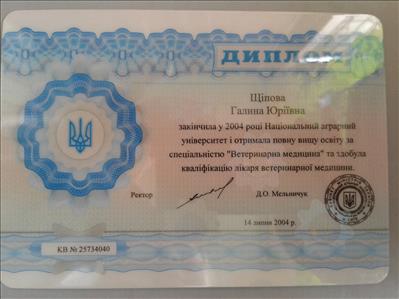 Сертифікат 4 Галина Щи...