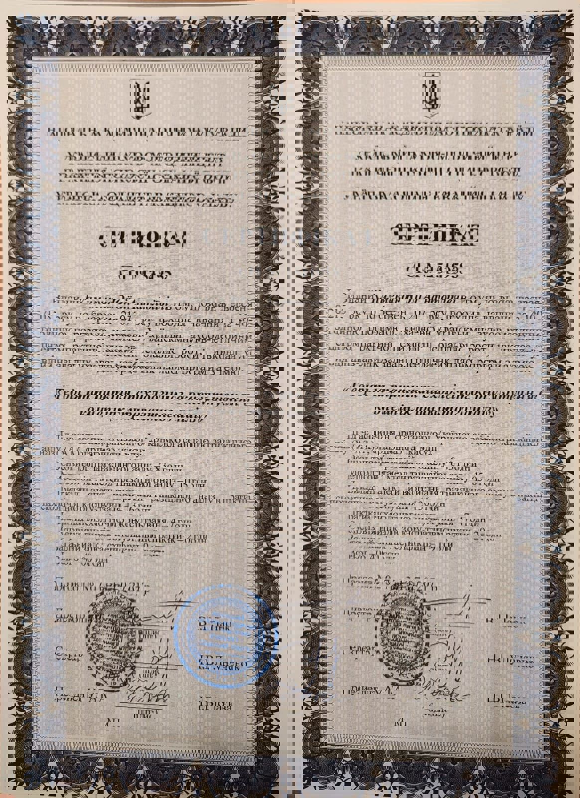 Сертифікат 2 Юлія Кл...