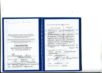 Сертификат 2 Алла Ти...