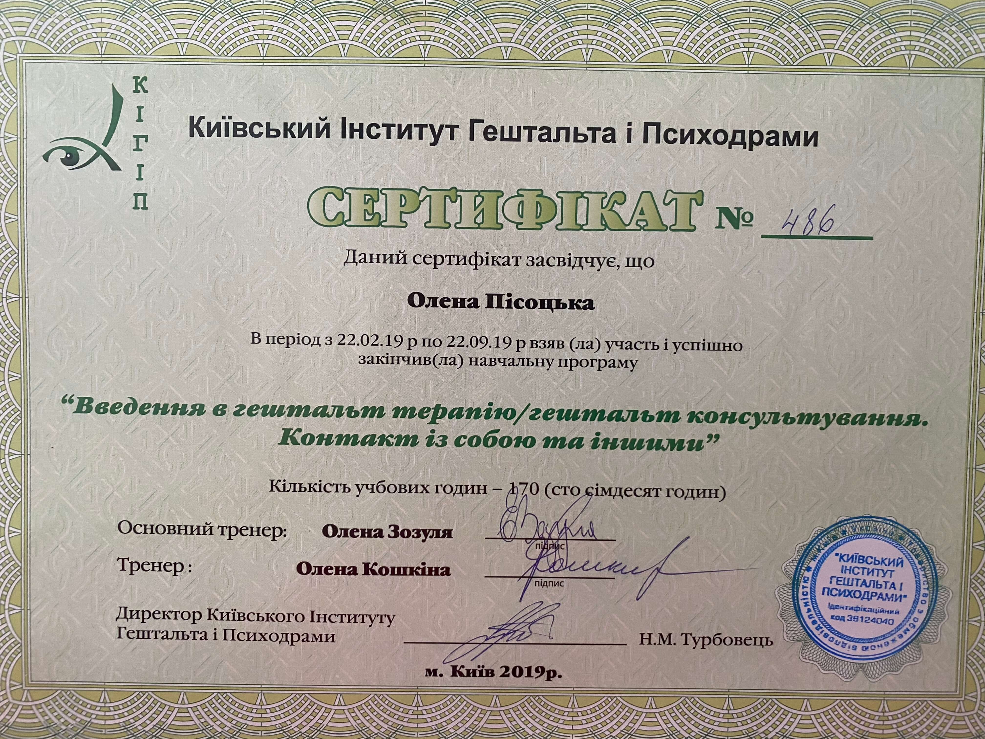 Сертификат 2 Елена Пе...